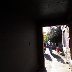 Viewing area for pallas cat enclosure 17.10.24