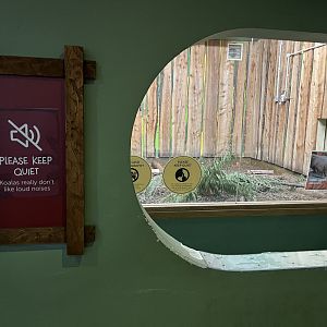 Former male koala enclosure (temporarily armadillo) 17.10.24