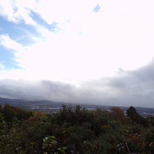 View from the top of the zoo 17.10.24