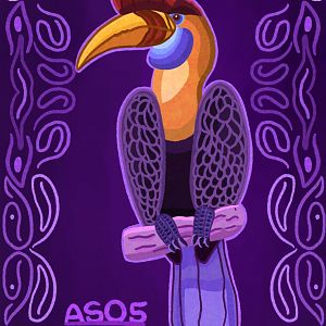 Sulawesi Knobbed Hornbill