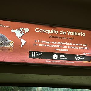 Sign for Vallarta mud Turtle
