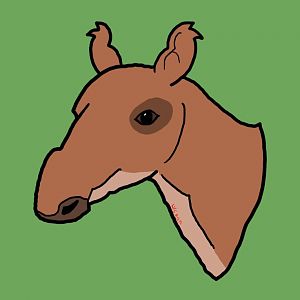 Scalabrinitherium bravardi