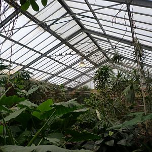 View of "La Serre Tropicale des Oiseaux" -ZooParc de Beauval (2025)