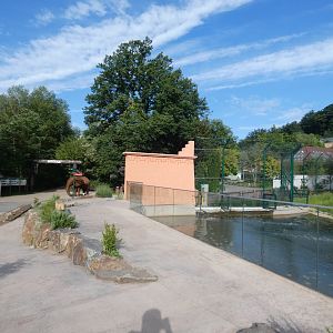 Lion enclosure viewing area