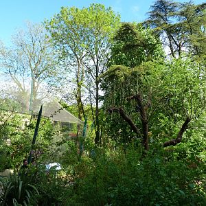 "La Rotonde des Perroquets" view -ZooParc de Beauval (2025)