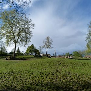African savanna exhibit -ZooParc de Beauval (2025)