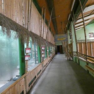 View inside Indian rhinoceros house