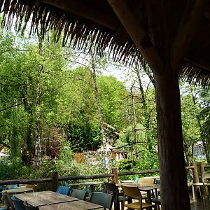 View from covered eating area by the capuchin island -ZooParc de Beauval (2025)