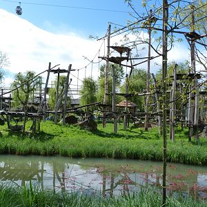 Bornean orangutan and White-handed gibbon exhibit -ZooParc de Beauval (2025)