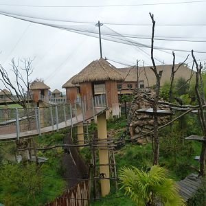 "La Grand Volière Sud-Americaine" view -ZooParc de Beauval (2025)