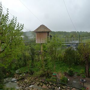 "La Grand Volière Sud-Americaine" view -ZooParc de Beauval (2025)