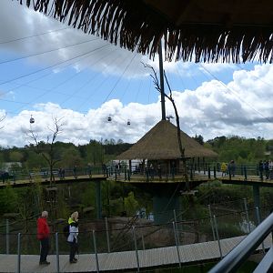 "La Grand Volière Sud-Americaine" view -ZooParc de Beauval (2025)