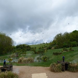 "Les Maîtres des Airs" view -ZooParc de Beauval (2025)