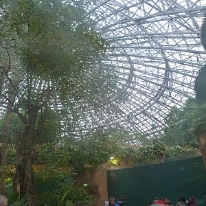 "Le Dôme Équatorial" view -ZooParc de Beauval (2025)