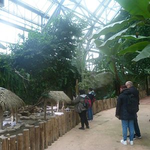 Radiated tortoise exhibit -ZooParc de Beauval (2025)