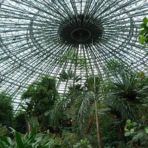 "Le Dôme Équatorial" view -ZooParc de Beauval (2025)