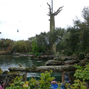 "La Réserve des Hippopotames" view -ZooParc de Beauval (2025)