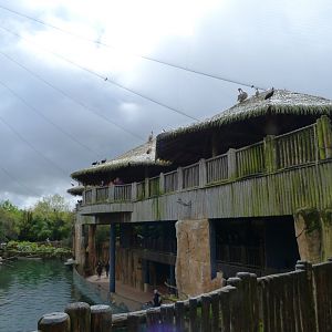 "La Réserve des Hippopotames" view -ZooParc de Beauval (2025)