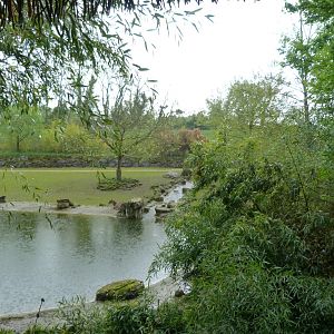 Asian savanna exhibit -ZooParc de Beauval (2025)