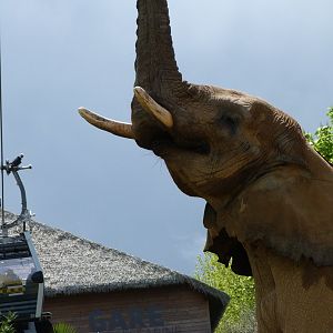 African bush elephant -ZooParc de Beauval (2025)
