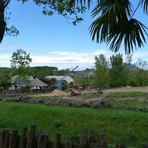 African bush elephant exhibit -ZooParc de Beauval (2025)