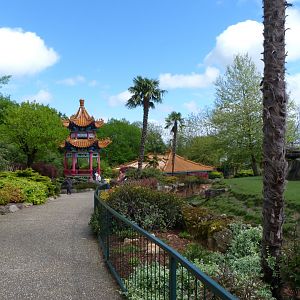 View from takin exhibit -ZooParc de Beauval (2025)