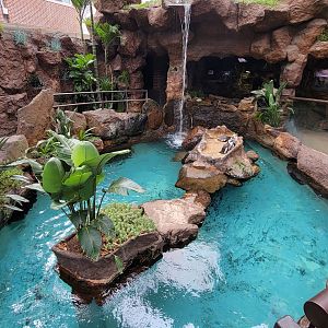 Apr. 2025 - Cape of Good Hope - African Penguin Exhibit (Half of it)