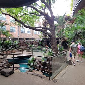 Apr. 2025 - Cape of Good Hope - African Penguin + Shoebill Exhibits