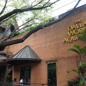 Apr. 2025 - Cape of Good Hope