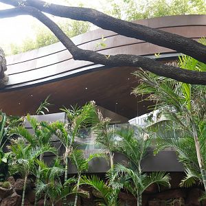 Apr. 2025 - Cape of Good Hope - Blue Penguin Exhibit