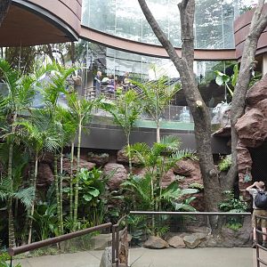 Apr. 2025 - Cape of Good Hope - Blue Penguin Exhibit