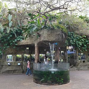 Apr. 2025 - Orinoco Rainforest: Cloud Forest - Sloth Forest - Various Frog Exhibits + Cotton Top Tamarin