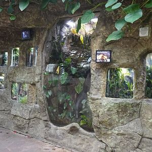 Apr. 2025 - Orinoco Rainforest: Cloud Forest - Sloth Forest - Various Frog Exhibits