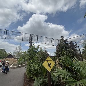 Overhead tunnel for Siamang Gibbons