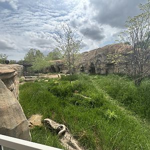 Asian Small Clawed Otter Viewing/Exhibit