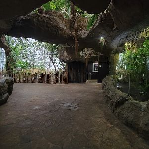 Apr. 2025 - First Look at the Orinoco Rainforest