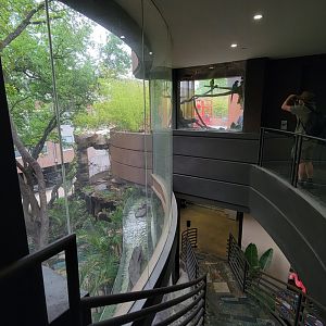 Apr. 2025 - Entrance - Blue-throated Macaw & Blue Penguin Exhibits