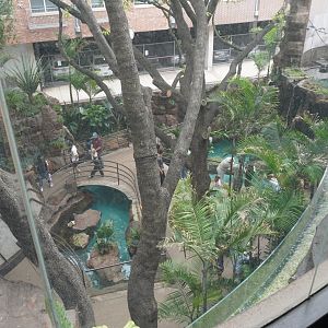 Apr. 2025 - Entrance - View of the Cape of Good Hope