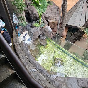 Apr. 2025 - Entrance - Blue Penguin Exhibit