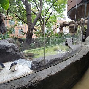 Apr. 2025 - Entrance - Blue Penguin Exhibit