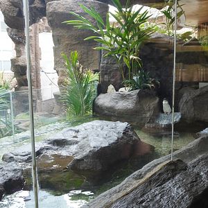 Apr. 2025 - Entrance - Blue Penguin Exhibit