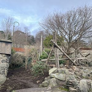 Resurfaced sun bear enclosure 27.12.24