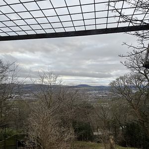 View from lion lookout 27.12.24