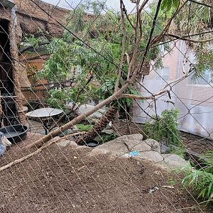 Apr. 2025 - Entrance - Shoebill Exhibit