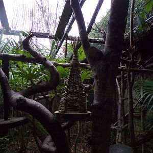 Strange climbing frame in magic Forest 27.12.24