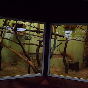 Resurfaced indoor cloud rat enclosure 27.12.24