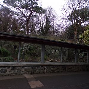 New cape porcupine enclosure 27.12.24