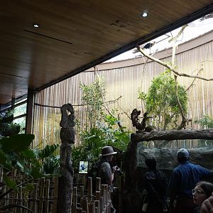 Apr. 2025 - Borneo - Hornbill + Arowana Exhibits