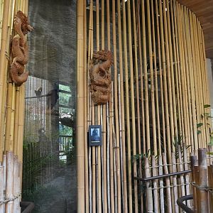 Apr. 2025 - Borneo - Great Indian Hornbill & Victoria Crowned Pigeon Exhibit