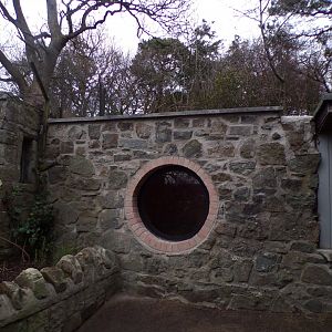 New cape porcupine housing 27.12.24